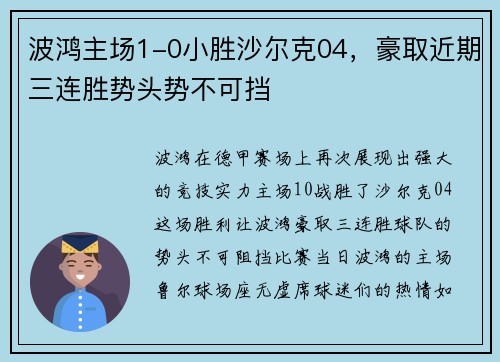 波鸿主场1-0小胜沙尔克04，豪取近期三连胜势头势不可挡